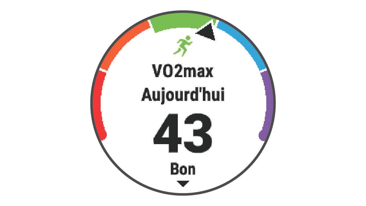 Gamme fēnix 6 - A propos des estimations de la VO2 max