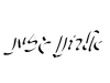 אלחנן גזית