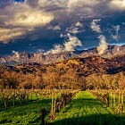 Under the Hood: How a Global Supply Shock Reaches Napa Valley