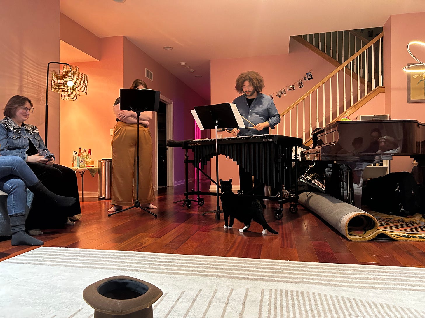 A black and white cat stops to stare at a vibraphone as audiences and the two performers hold back laughter.