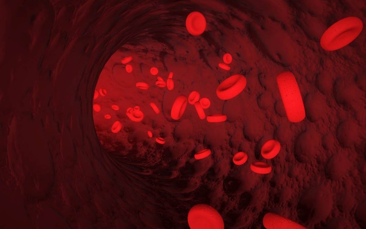 The importance of normal blood velocity part 1