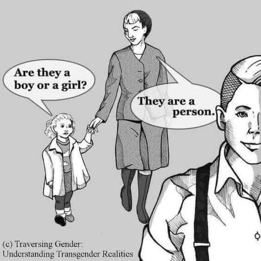 May be an image of text that says 'Are they a boy or a girl? 国蛋品味 They are Theyarea a person MC () Traversing Gender: Understanding Transgender Realitics'