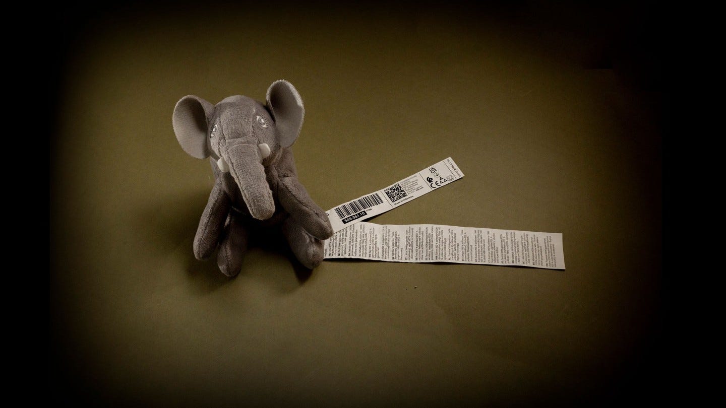 The EU single market's elephant in the room