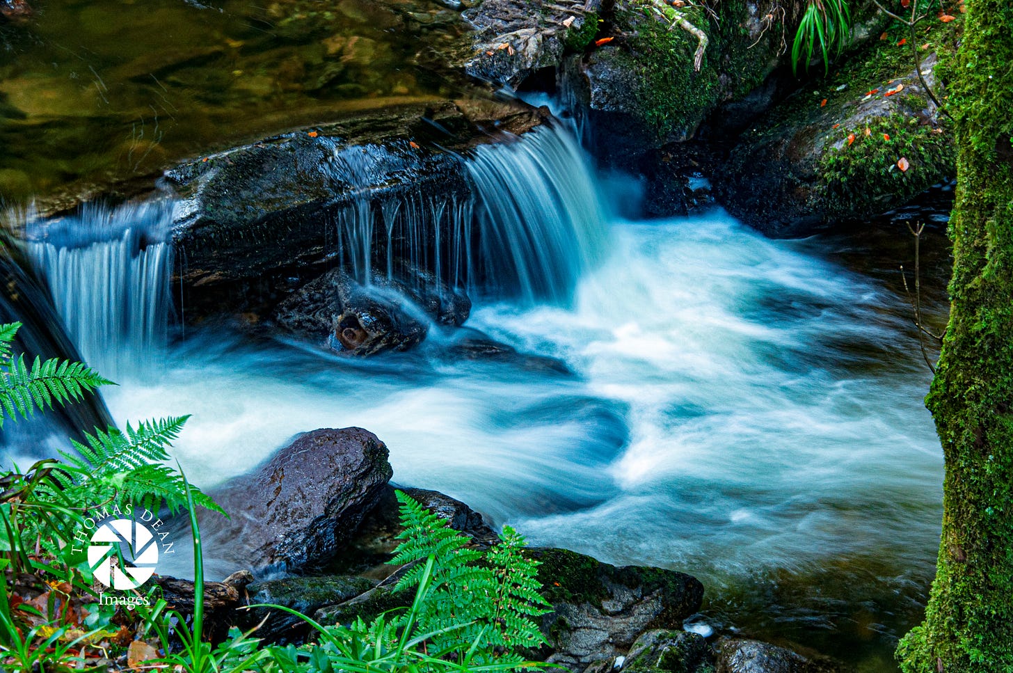 Down Stream from Torc Waterfall