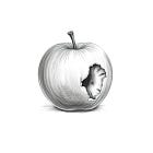 Who made the iPhone boring ?