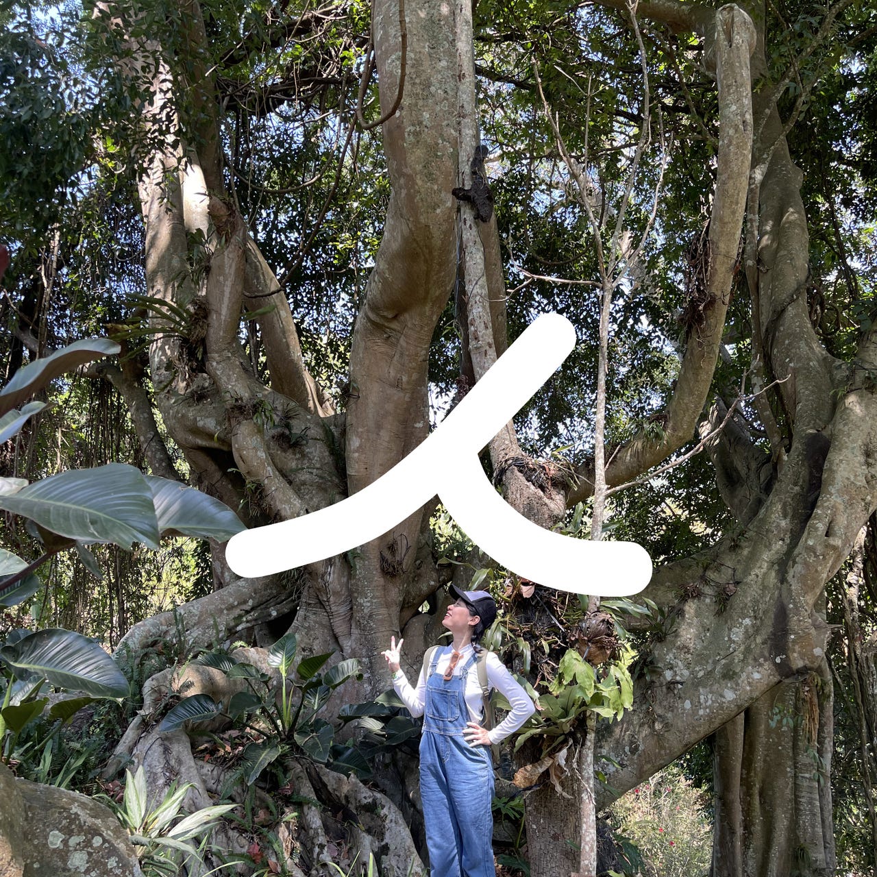 Tới Cuối Project 