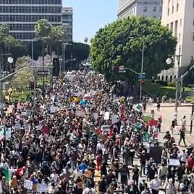 Protest Strategy: Managing the Optics