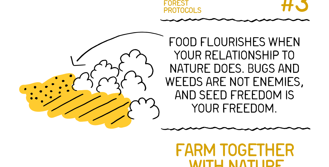 BFP #3: Farm Together with Nature