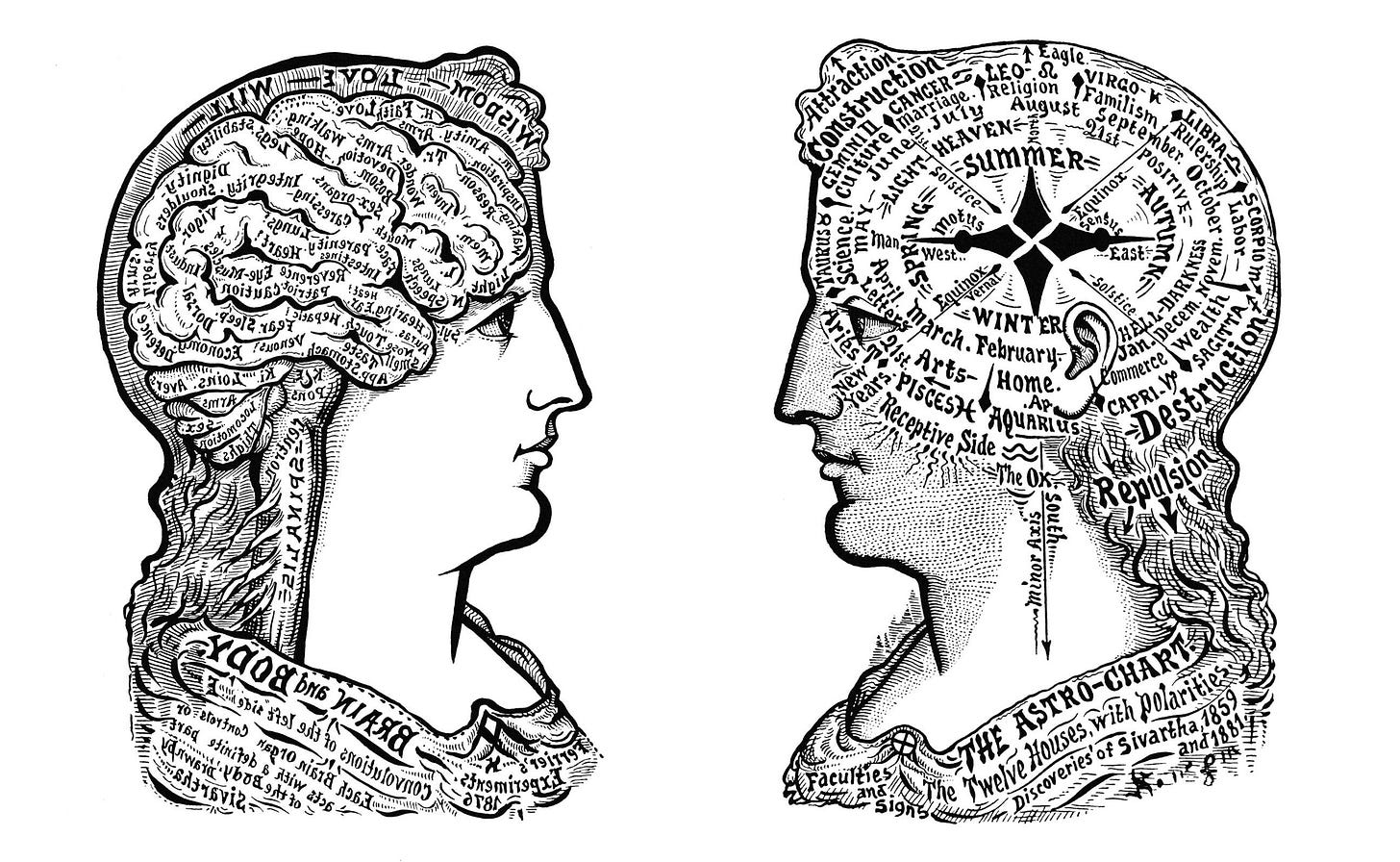 An image of two old illustrations of the brain facing one another.