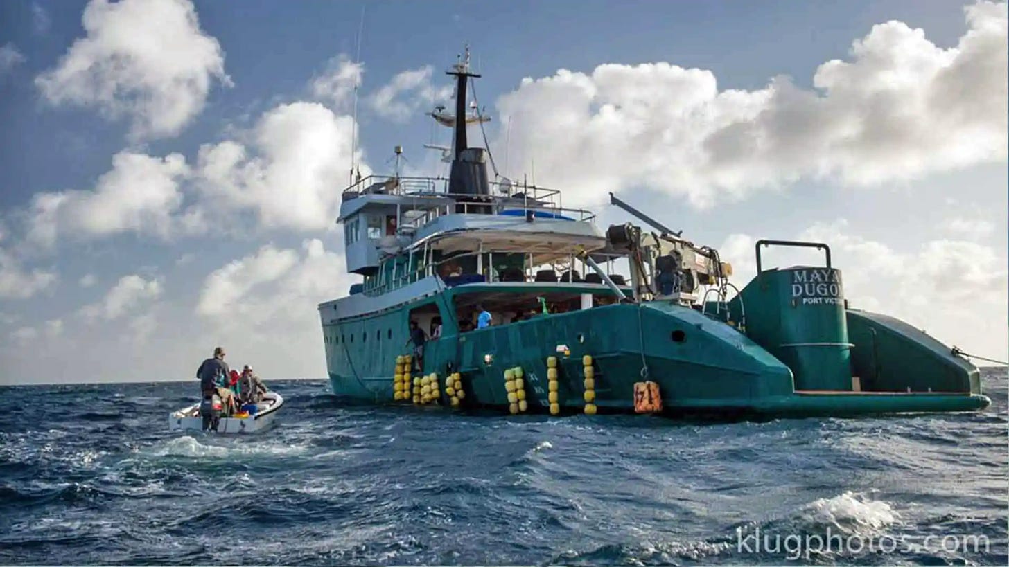 The Maya's Dugong, a 135-foot expedition vessel is your homebased for your week at Providence Atoll. The Liveaboard has seven air-conditioned cabins, a large dining area and lounge, and observation deck.