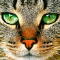 ANEESHA's avatar