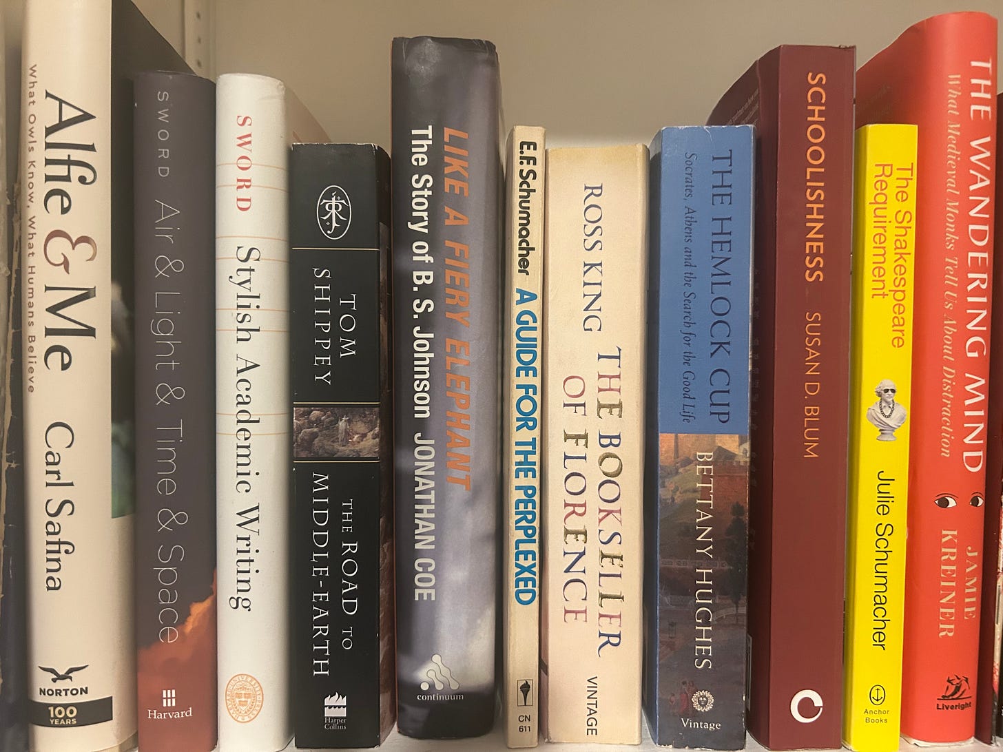 A third image of book shelves, with the center book Like a Fiery Elephant: The Story of B.S. Johnson, by Jonathan Coe.