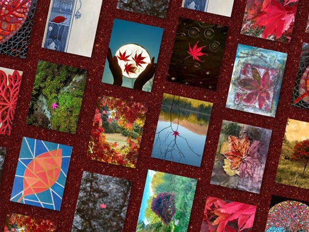 theredtreeandme.substack.com