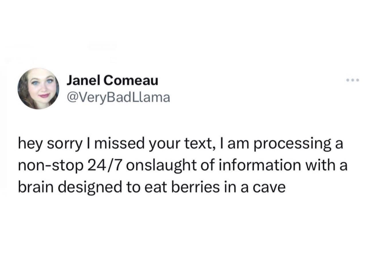 Laura El on X: "🤣 berry brain over here. https://t.co/rhe76bETpT" / X