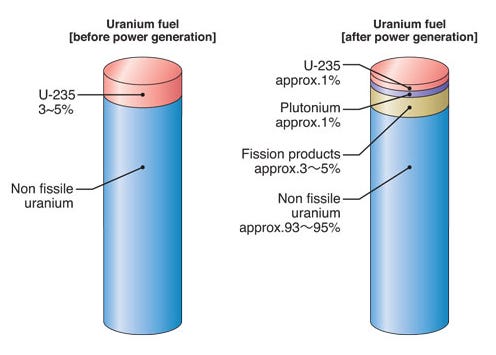 Calutron Nuclear Reprocessing: The Gap Between Promise and Reality