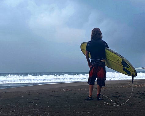Images of the mountains, the beach, the roads, the people, and the animals of Yugawara.