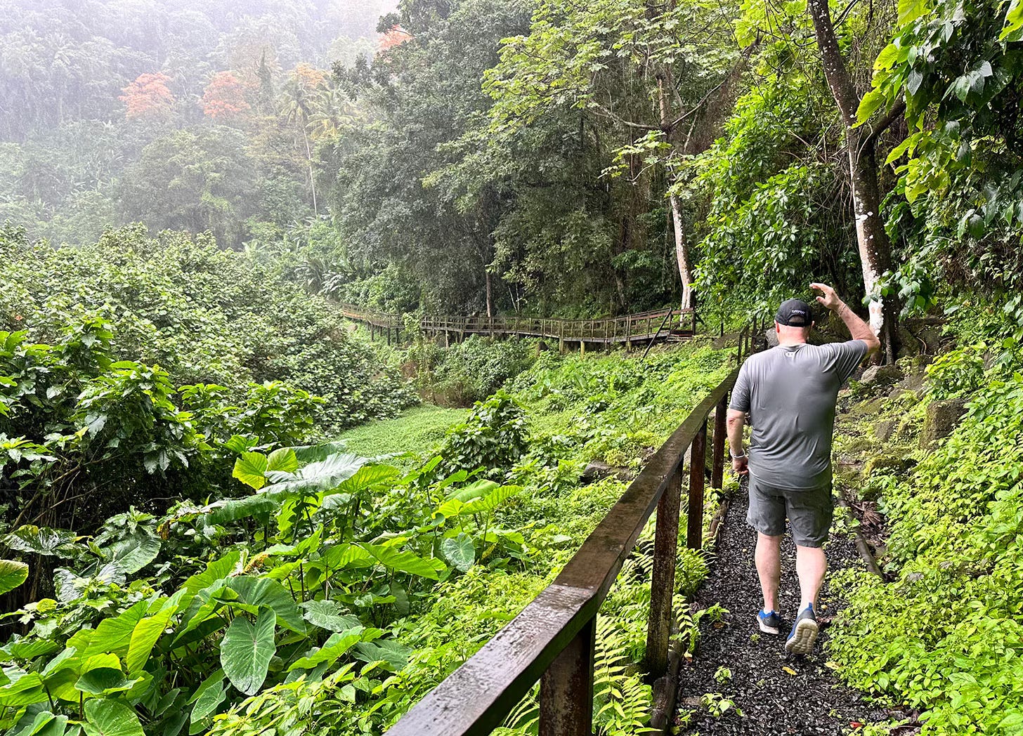 Jurassic Trail at Rabot Estate