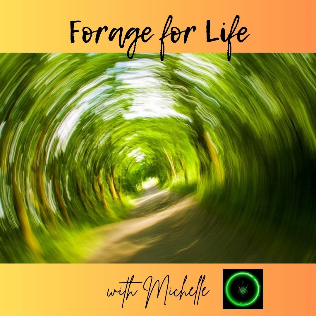 Forage for Life with Michelle