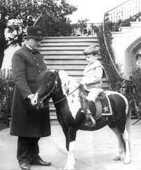 The Roosevelt Pets - Theodore Roosevelt ...