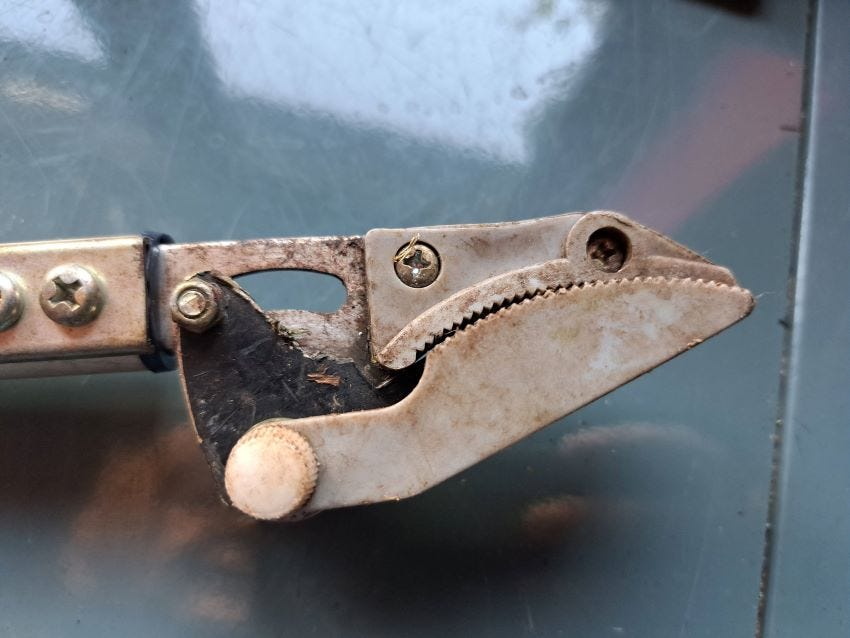 Pruner closed copyright Anne Wareham 