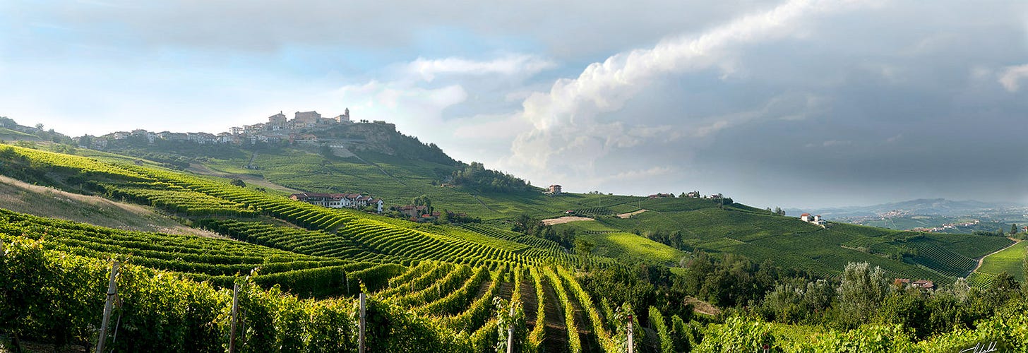 Appellation: Barolo DOCG - Consorzio Barolo e Barbaresco