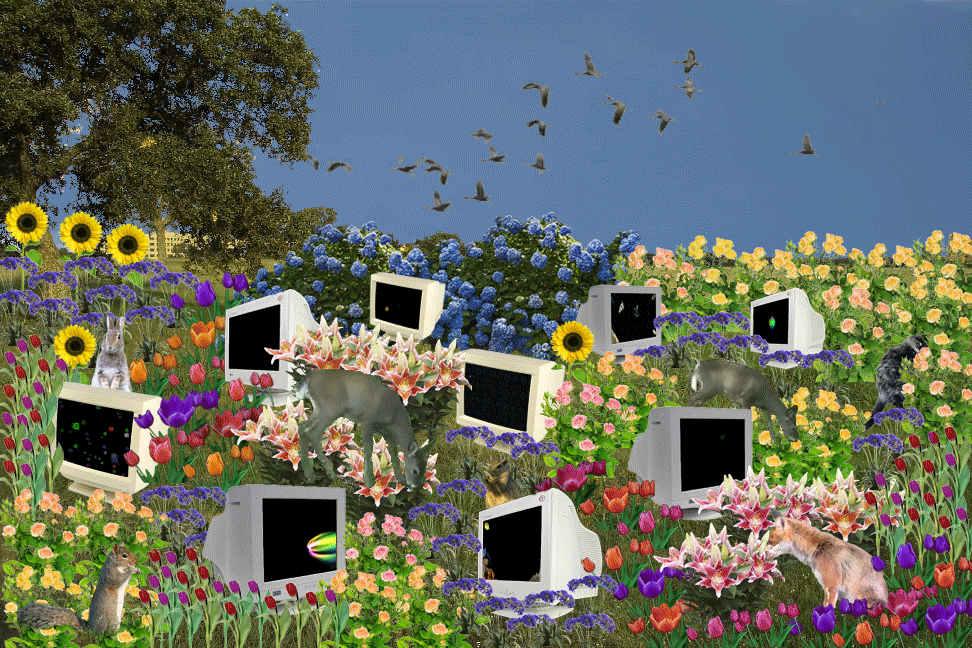 a moving gif of animals and computer screens in a flower-filled garden a moving gif of animals and computer screens in a flower-filled garden