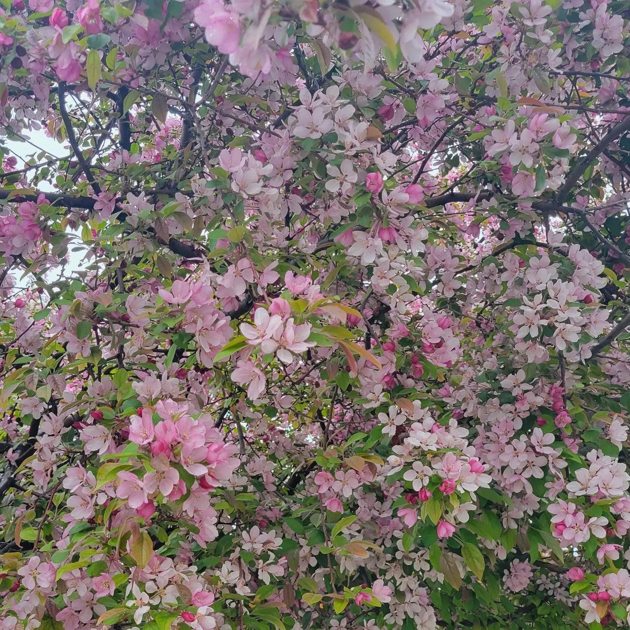 I researched this...