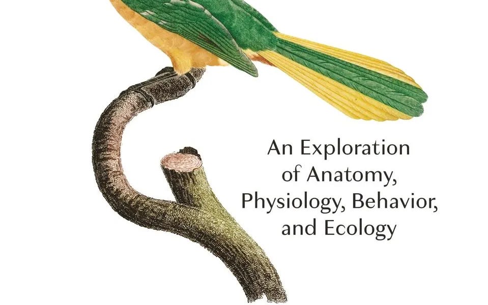 What Is A Bird? An Exploration Of Anatomy, Physiology, Behavior, And ...