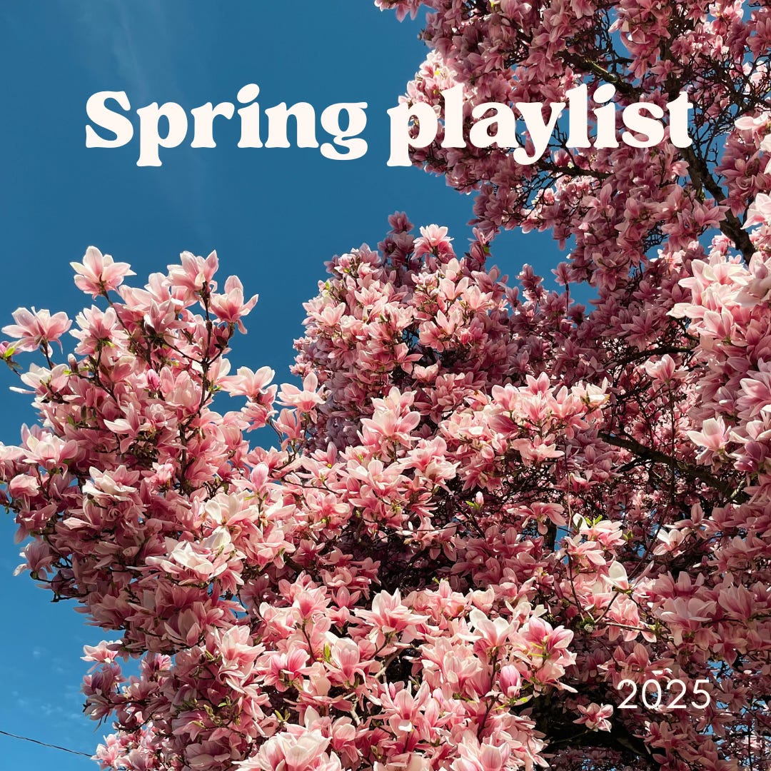 A photo of a pink magnolia tree in full bloom, viewed from underneath it. Behind it is a clear blue sky. At the top of the image, the words "Spring Playlist" appear in white serif font. The number 2025 is in the bottom right corner. 