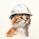 Kitten Authority