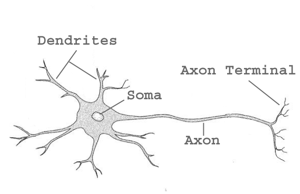 Regex Engines: History and Contributions