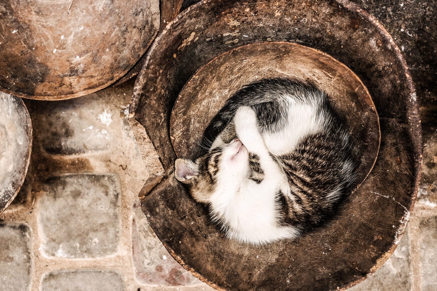 alex-pavlou-2UBwWeXlQKg-unsplash alex-pavlou-2UBwWeXlQKg-unsplash