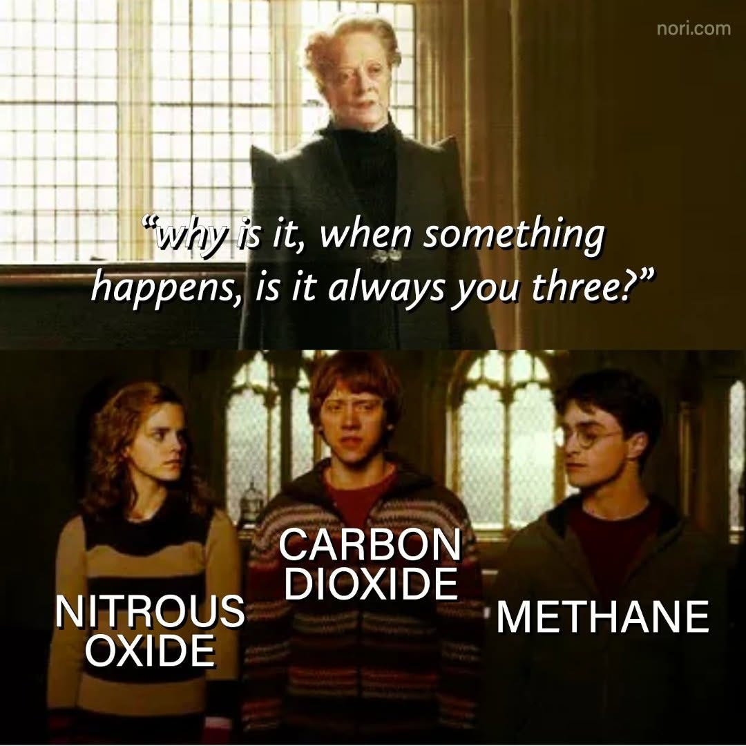 Harry Potter still of Professor McGonagall: "Why is it, when something happens, is it always you three?" Below, Hermione, Ron and Harry, labelled "Nitrous oxide", "Carbon dioxide" and "Methane".
