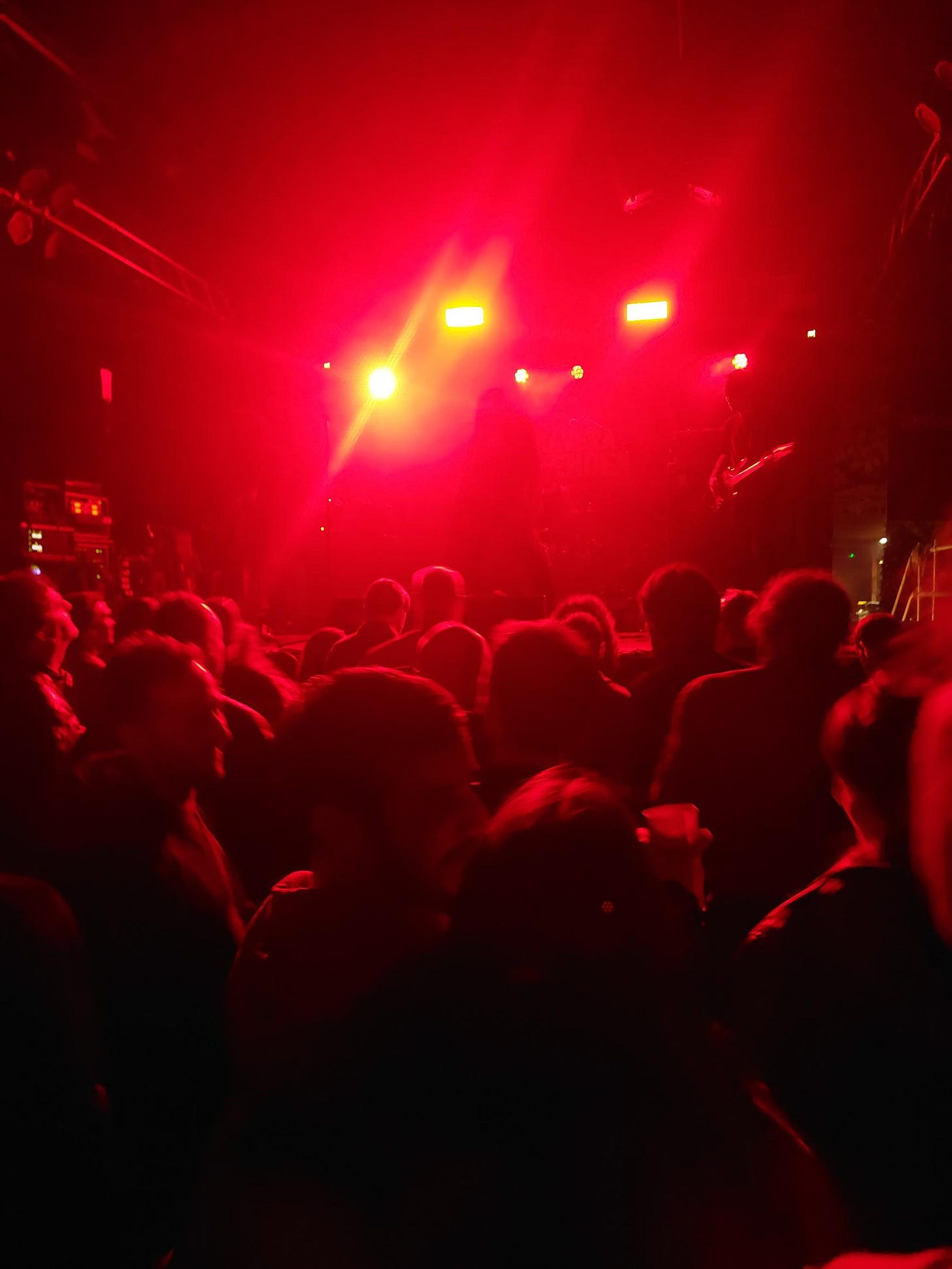 concert crowd