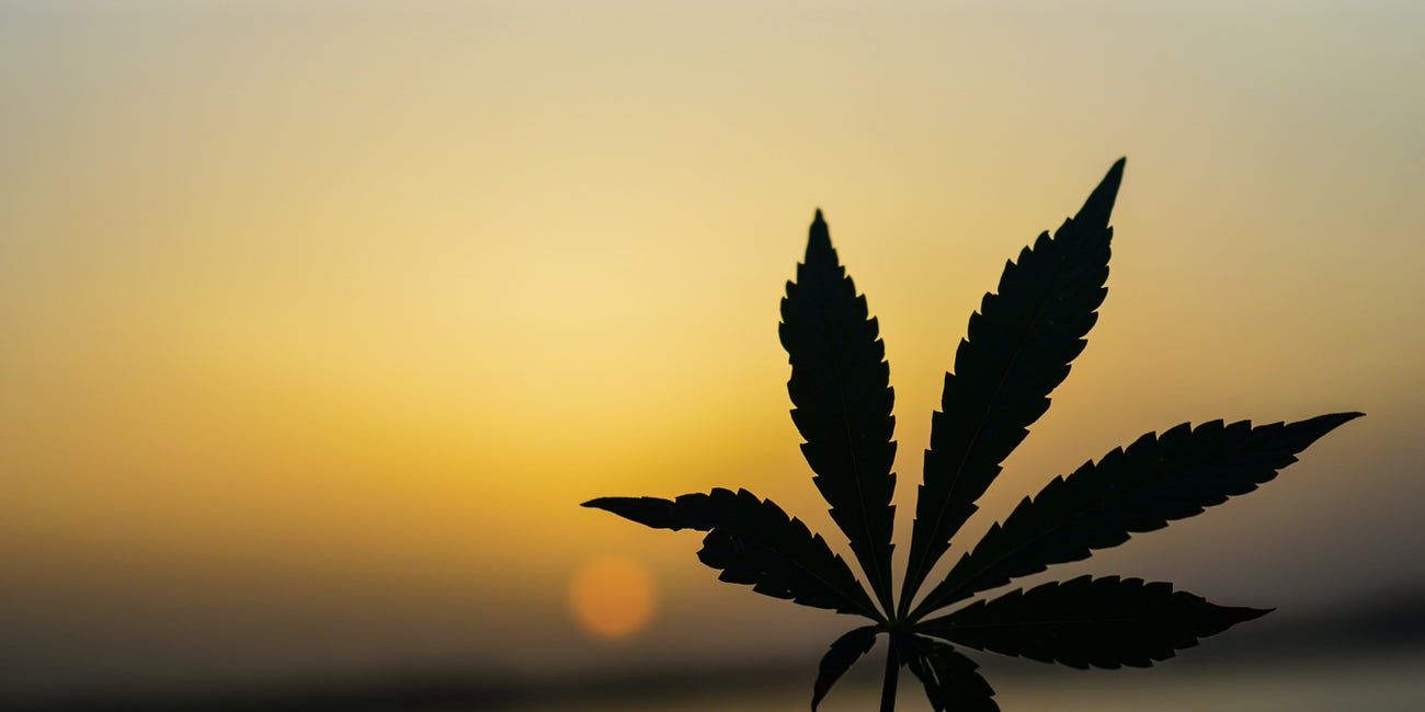 Weed to watches: my money pitfalls