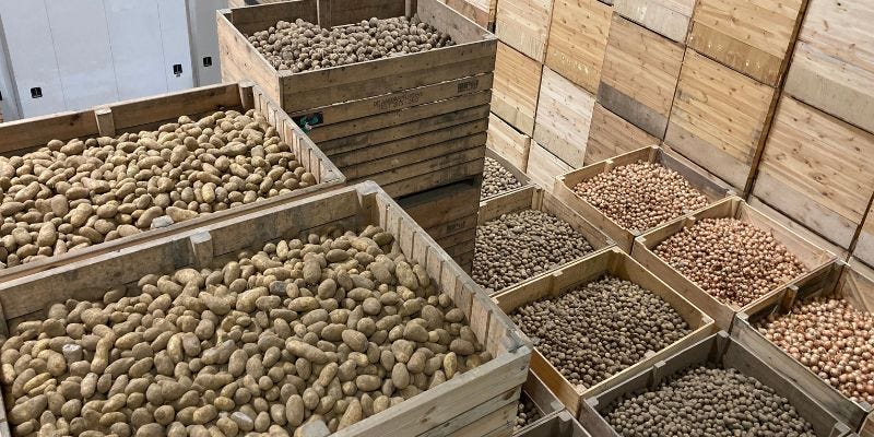 Ukraine Invests in Modern Potato Storage Amid Agricultural Recovery Efforts  – Potato Business