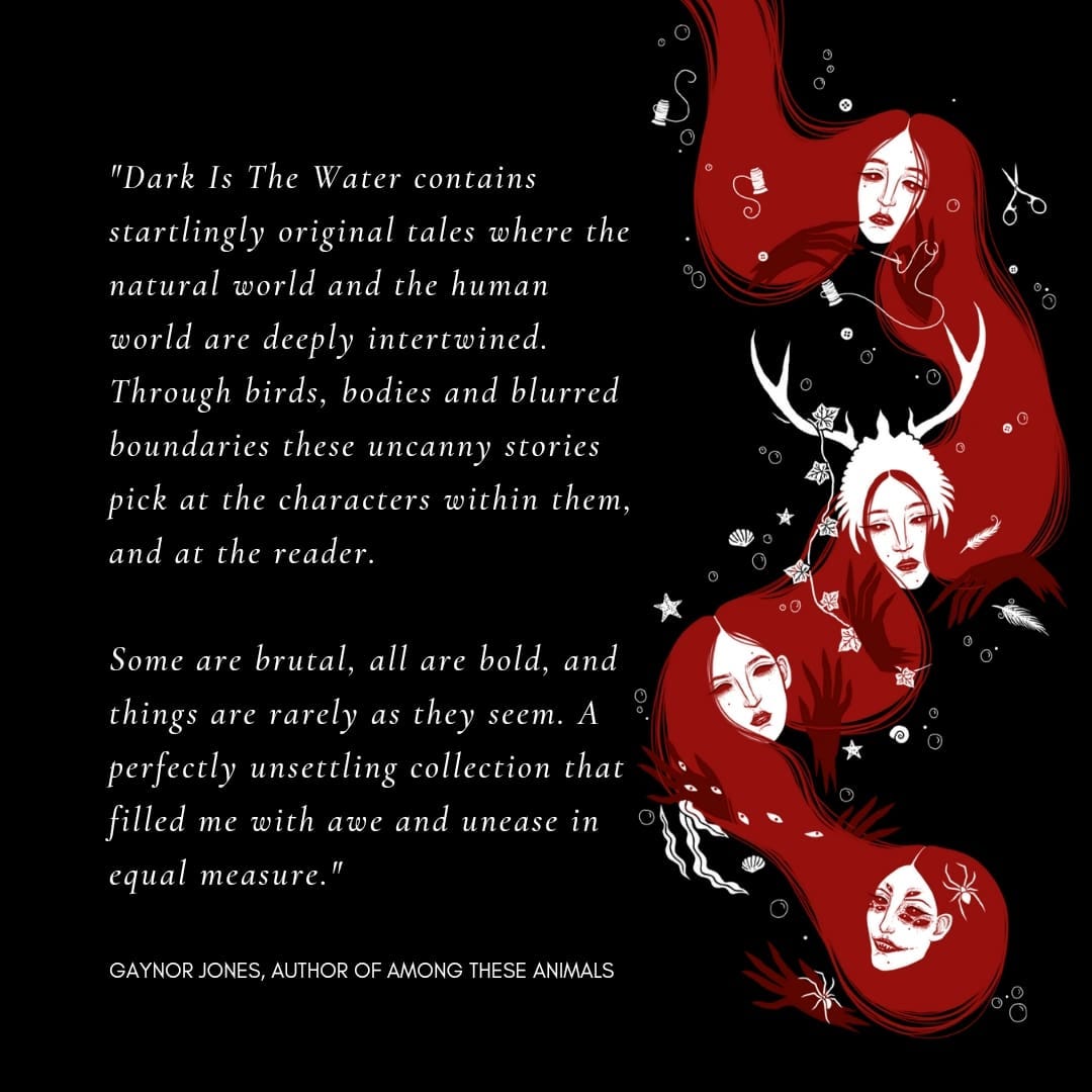 Dark is the water by Susan Earlam a review by Gaynor Jones