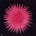 A Glorious Emergence's avatar