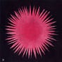 A Glorious Emergence's avatar