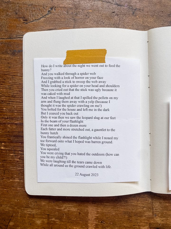 A Poem A Day Project