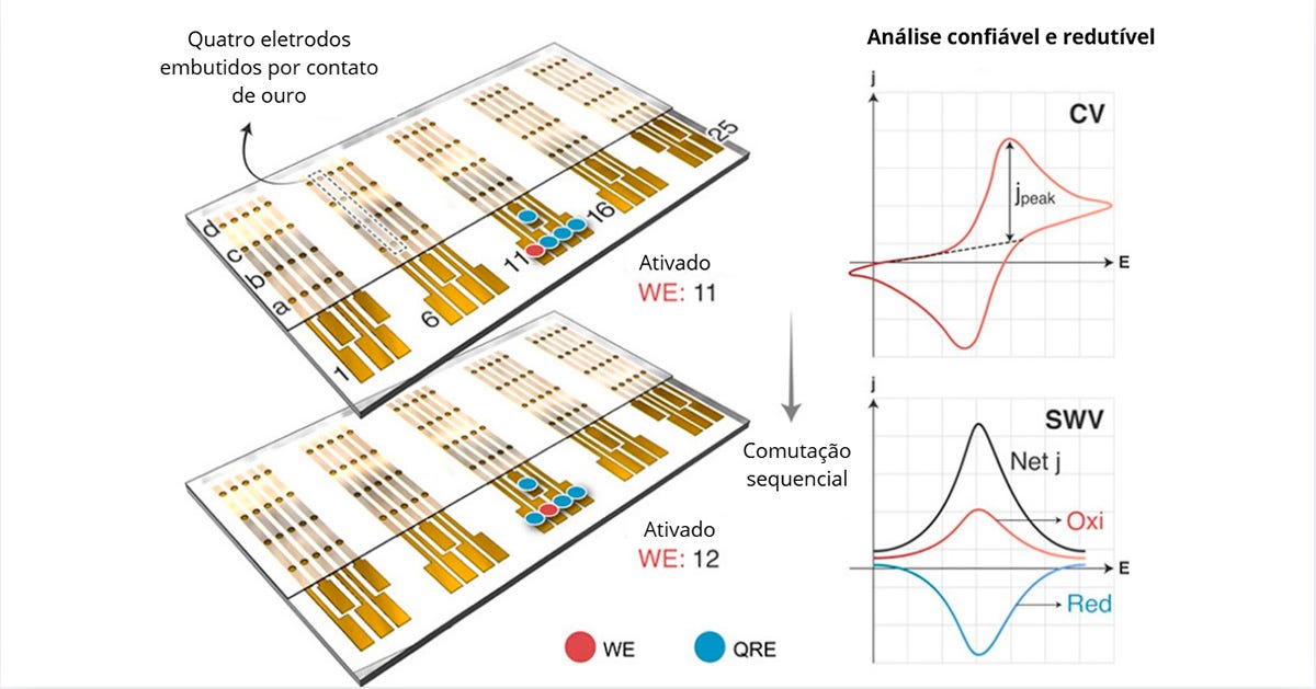 Modelo de chip que abriga os sensores, colocados em eletrodos de outro na forma de filamentos dourados Modelo de chip que abriga os sensores, colocados em eletrodos de outro na forma de filamentos dourados