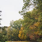 A bunch of coaches walk into the woods...