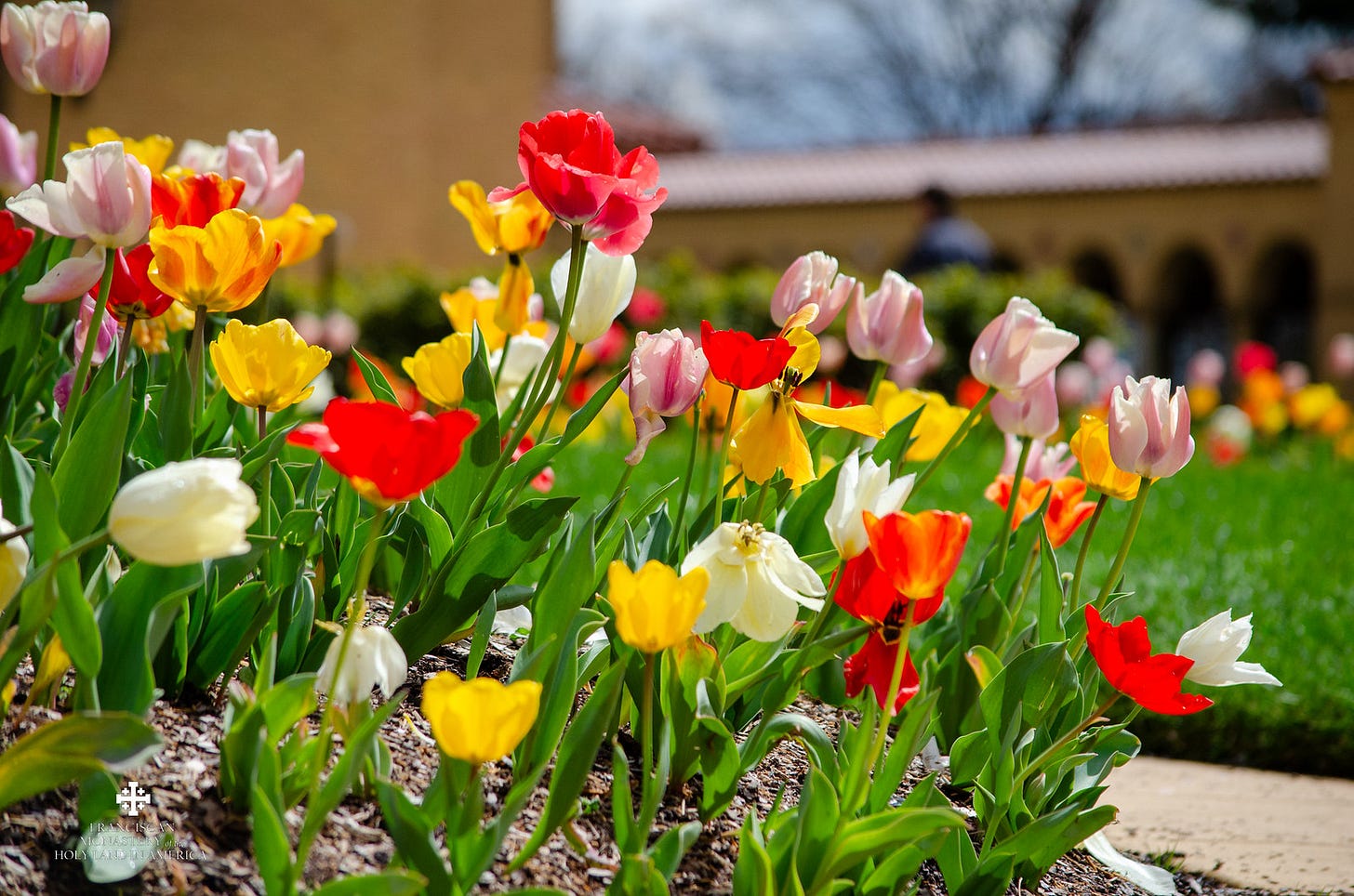 DSC_0941 | by Franciscan Monastery Wash DC