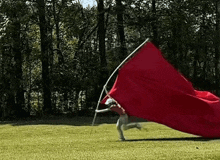 Red Flag GIFs | Tenor