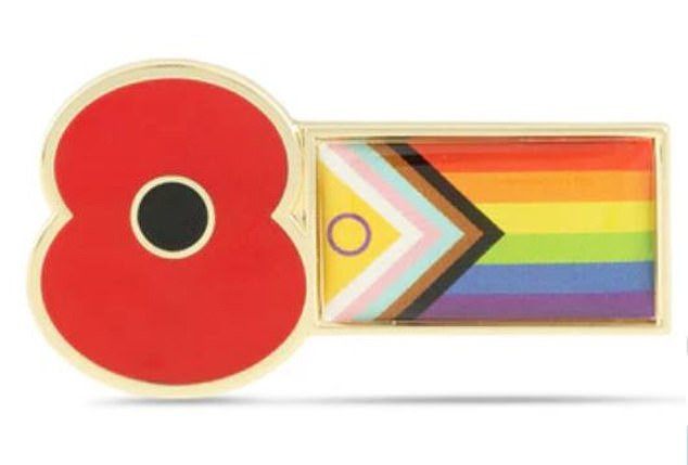 The flag, which includes elements representing binary, intersex, trans, and other marginalised communities, was selected over the more traditional rainbow flag
