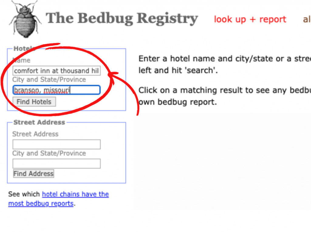 Use This Tool to Check Your Hotel for Bed Bugs