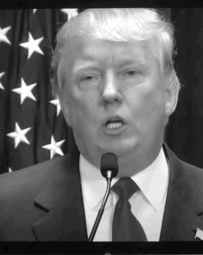 Trump 45 GIF - Trump 45 Djt GIFs