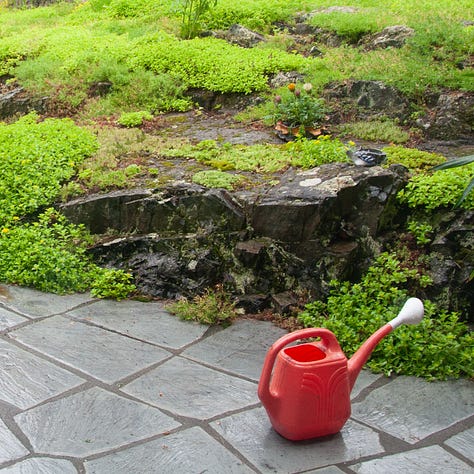 A 2 x 3 grid of six photographs with red things: a round red circle above a hard beam, an upside down red plastic chair, leaves from a red Japanese maple, a red watering, a red Radio Flyer tricycle and a bowl of red rotting watermelon 