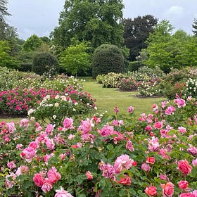 Reflections on travels