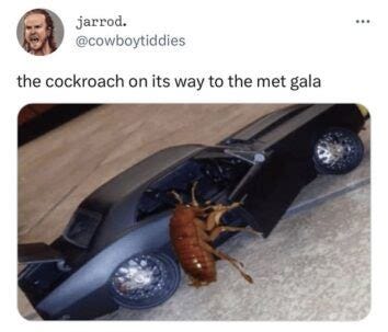 Cockroach Walking Red Carpet At Met Gala Takes Center Stage As Latest ...
